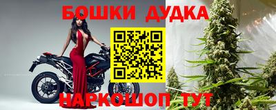 Альфа ПВП Нальчик