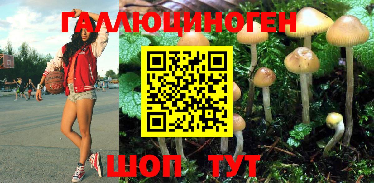 Удомля  Галлюциногенные грибы Cubensis  Вход с VPN 